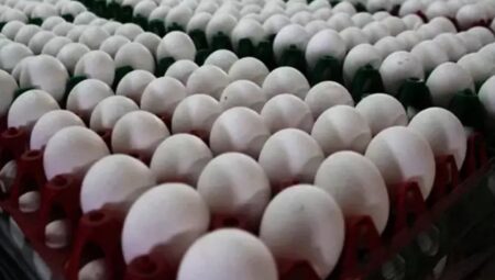 ABD’nin yeni gümrük vergileri yumurta ihracatını vuracak!
