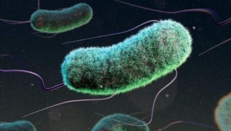 Antibiyotik direnci bir yılda üç milyon çocuğun vefatıyla ilişkilendiriliyor
