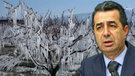 CHP’den hükümete don felaketi daveti: ‘Ekonomiye yansıması kaçınılmaz’