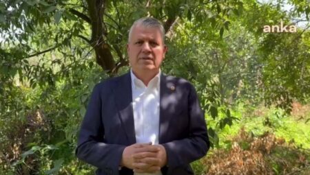 CHP’li Barut’tan limon ihracatının durdurulmasına reaksiyon: “Limondan mandalinaya ivedilikle tüm narenciye üreticisini destekleyin”