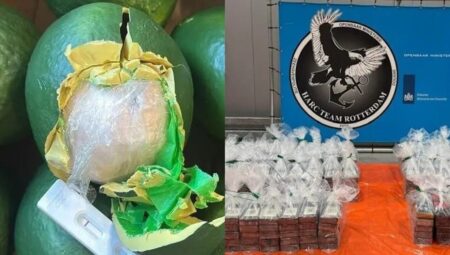 Hollanda’da dev uyuşturucu operasyonu: Avokado sandılar, kokain çıktı