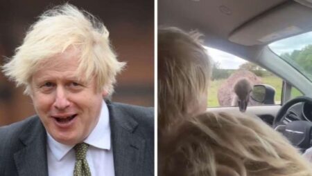 Safari macerası zıt tepti: Boris Johnson’a devekuşu saldırısı