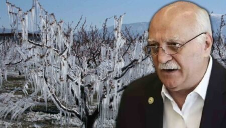 TZOB Lideri’nden şok zirai don açıklaması: ‘Üreticinin elinde yüzde 10 civarında eser kaldı’