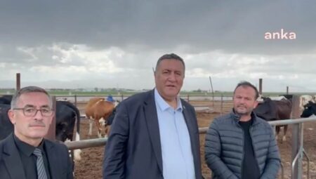 CHP’li Gürer: ‘Fransa, bizim süt ineğimizin yarısına sahip lakin bizim ürettiğimizden fazla süt üretiyor’