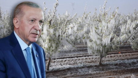 Erdoğan’dan zirai don açıklaması: ‘Belli eser kümelerinde kahır yaşayacağız’