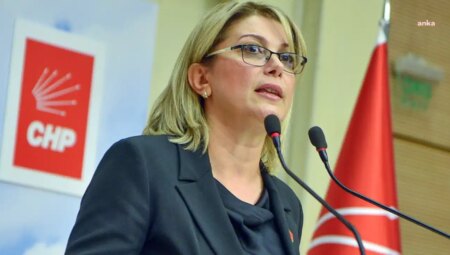 CHP’li Asu Kaya: ‘Oya Liderimizin, bürokrat ve yönetici bayanların yanındayız’
