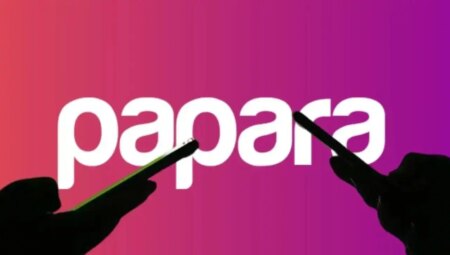 Papara kullanıcılarına süreç kısıtlaması: Kontrol süreci başladı!